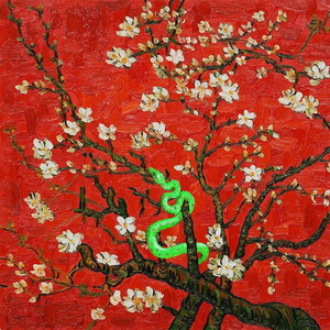 搡老女人的全过程
